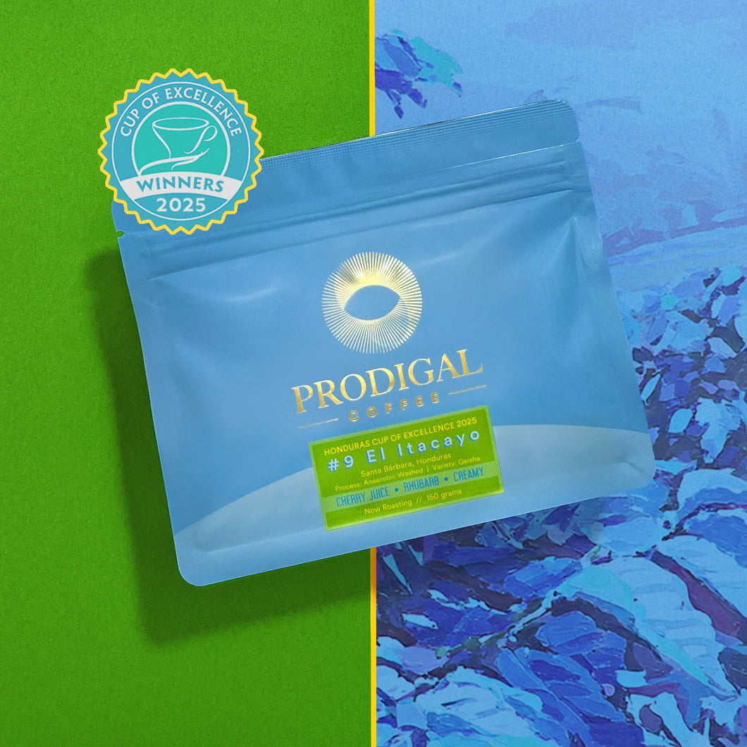 PRODIGAL
HONDURAS CUP OF EXCELLENCE 2025
#9 El Itacayo
Santa Bárbara, Honduras
Process: Anaerobic Washed | Variety: Geisha
CHERRY JUICE • RHUBARB • CREAMY