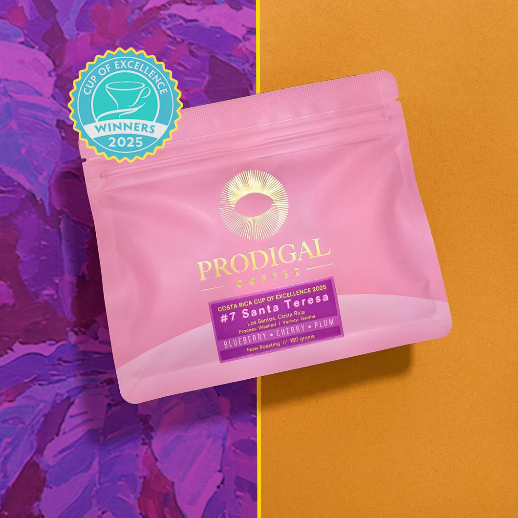 PRODIGAL
COSTA RICA CUP OF EXCELLENCE 2025
#7 Santa Teresa
Los Santos, Costa Rica
Process: Washed | Variety: Geisha
BLUEBERRY • CHERRY • PLUM