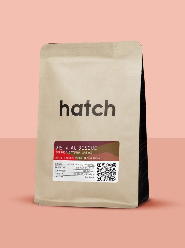 Hatch Guatemala, Vista Al Bosque Washed
