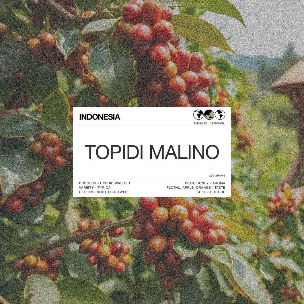Path INDONESIA
TOPIDI MALINO
PROCESS - HYBRID WASHED
VARIETY - TYPICA
REGION - SOUTH SULAWESI
PEAR, HONEY - AROMA
FLORAL, APPLE, ORANGE - TASTE
SOFT - TEXTURE