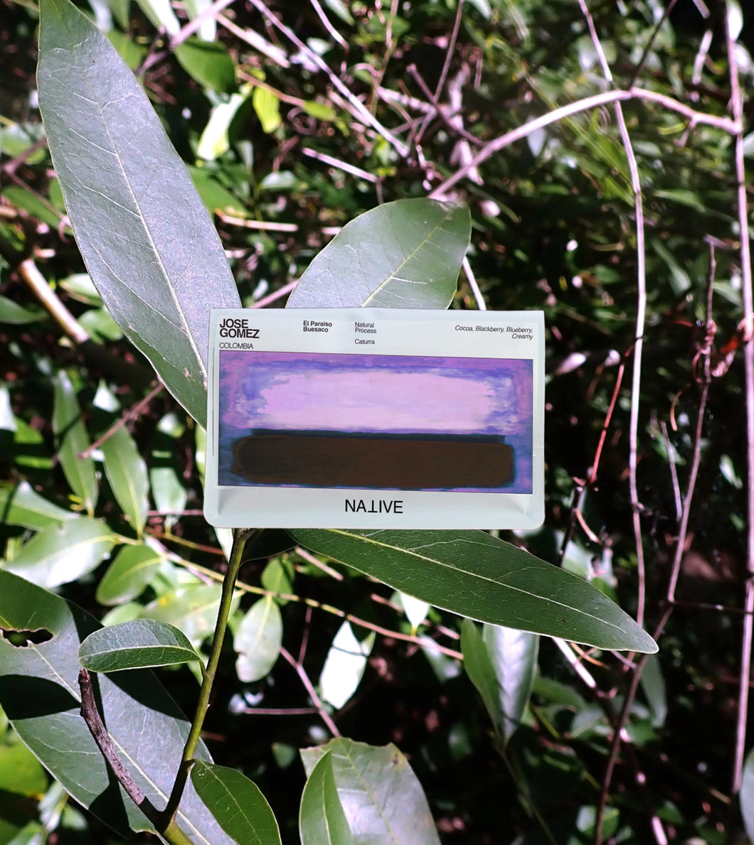 Native Jose Gomez El Paraiso Buesaco
COLOMBIA
Natural Process
Caturra
Cocoa, Blackberry, blueberry
Creamy
