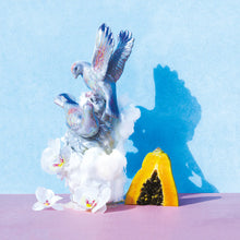 Load image into Gallery viewer, Morgon MONTERO FAMILY, WASHED GEISHA - COSTA RICA, TARRAZU
