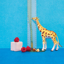 Load image into Gallery viewer, Morgon DIEGO BARAONA, WASHED PACAMARA- EL SALVADOR
